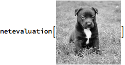 evaluationFunction[img_Image] := 
 Image[Prepend[
   NetModel[
     "ColorNet Image Colorization Trained on ImageNet Competition \
Data (Raw Model)"][img], ImageData[ColorSeparate[img, "L"]]], 
  Interleaving -> False, ColorSpace -> "LAB"]